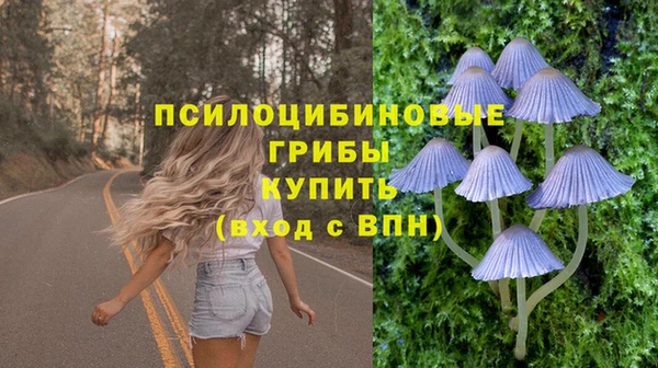 эйфоретик Абинск