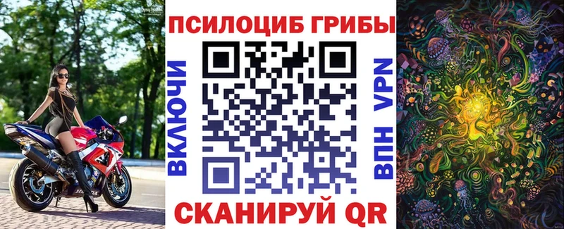 Псилоцибиновые грибы Psilocybine cubensis  Каменка 